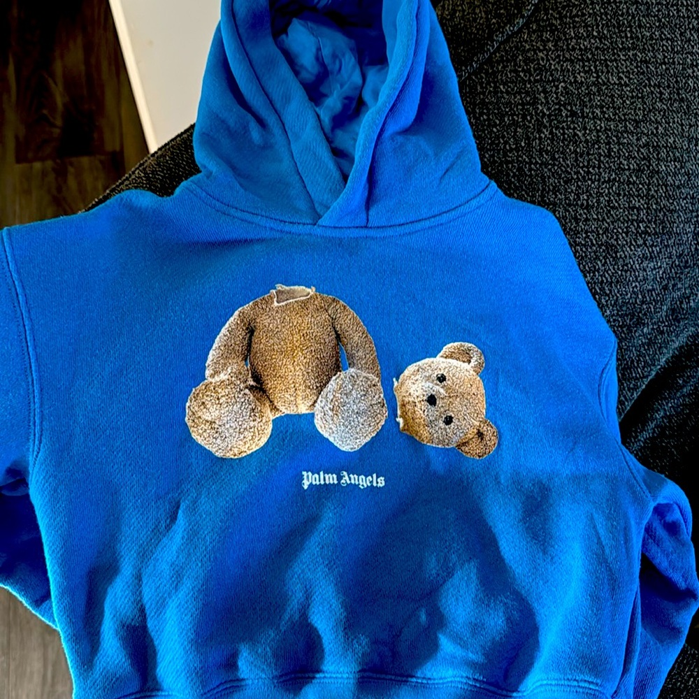 Toddler Designer hoodie gently used